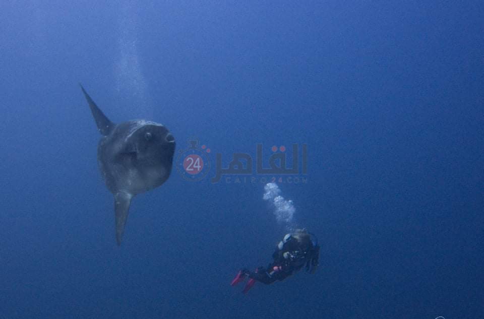 IMG_٢٠٢٢٠٥٠٥_١٠٥٥٣٠