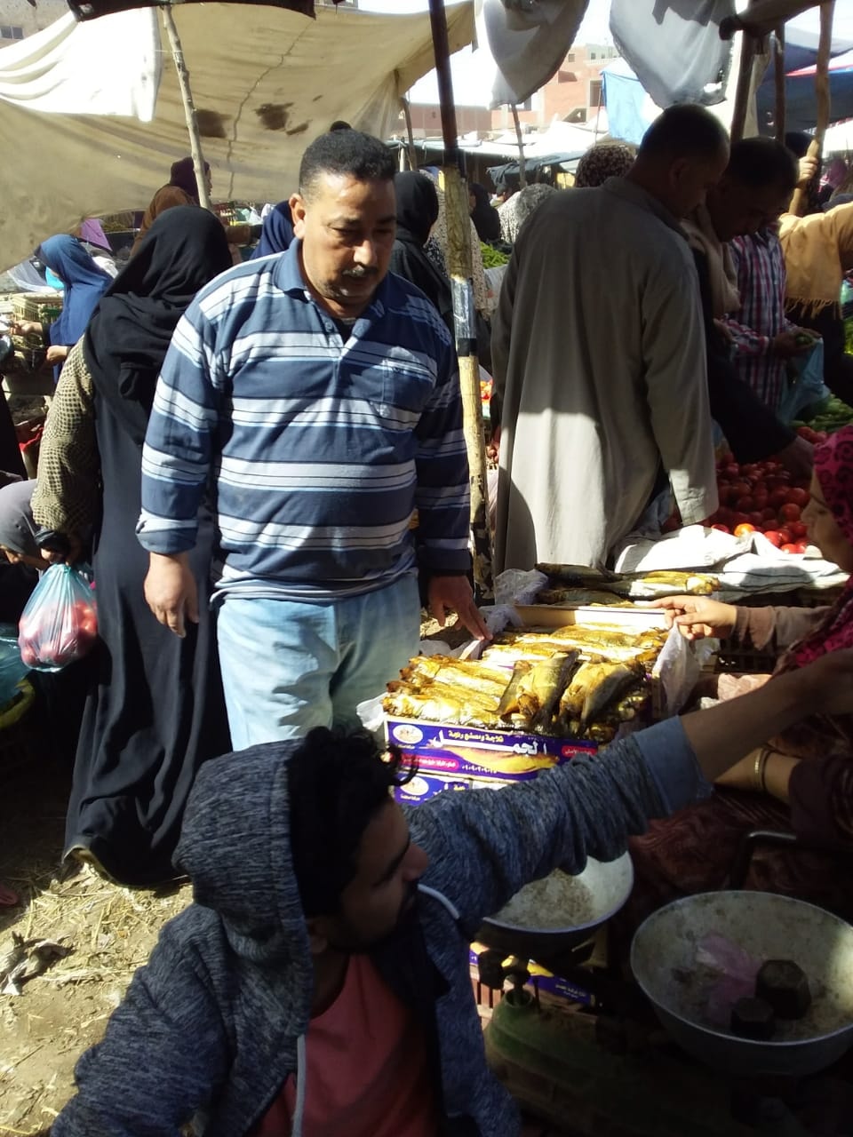 حملات على أسواق الأسماك في الشرقية