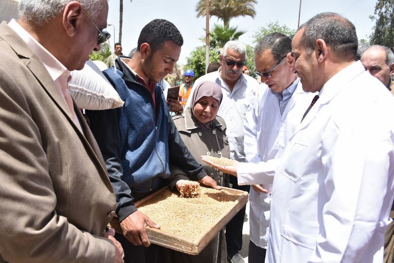 محافظ الشرقية يتفقد شونة البنك الزراعي 04