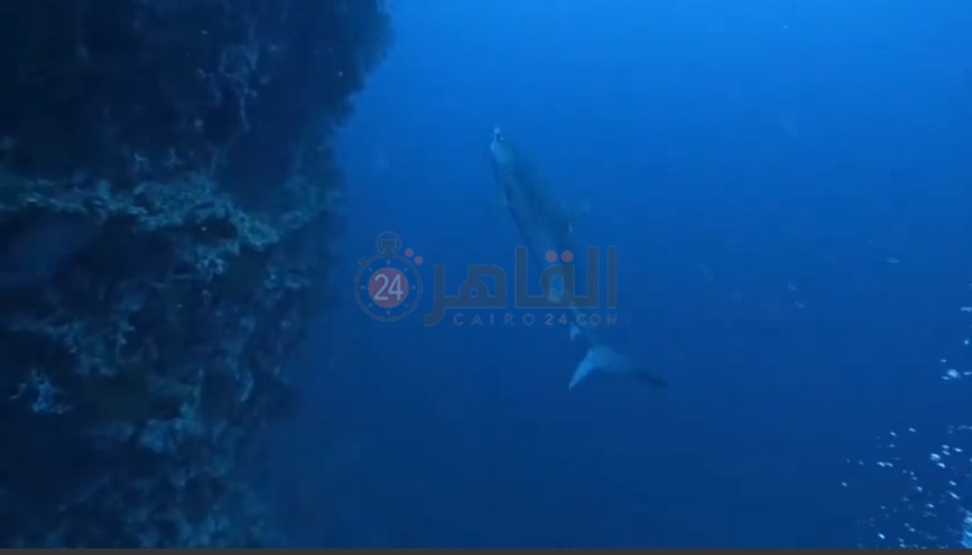 IMG_٢٠٢٢٠٥٠٨_١٦٠٢١٠