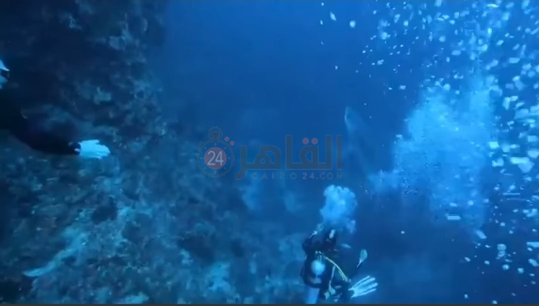 IMG_٢٠٢٢٠٥٠٨_١٦٠١٥٣