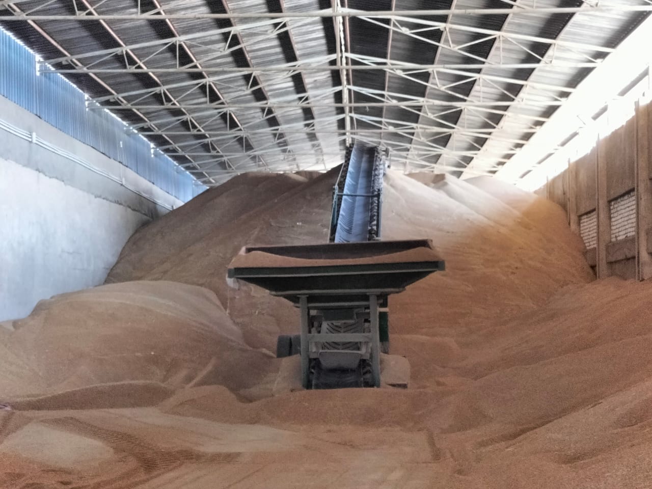 الرقابة الإدارية تتابع توريد الأقماح للصوامع في الإسكندرية 