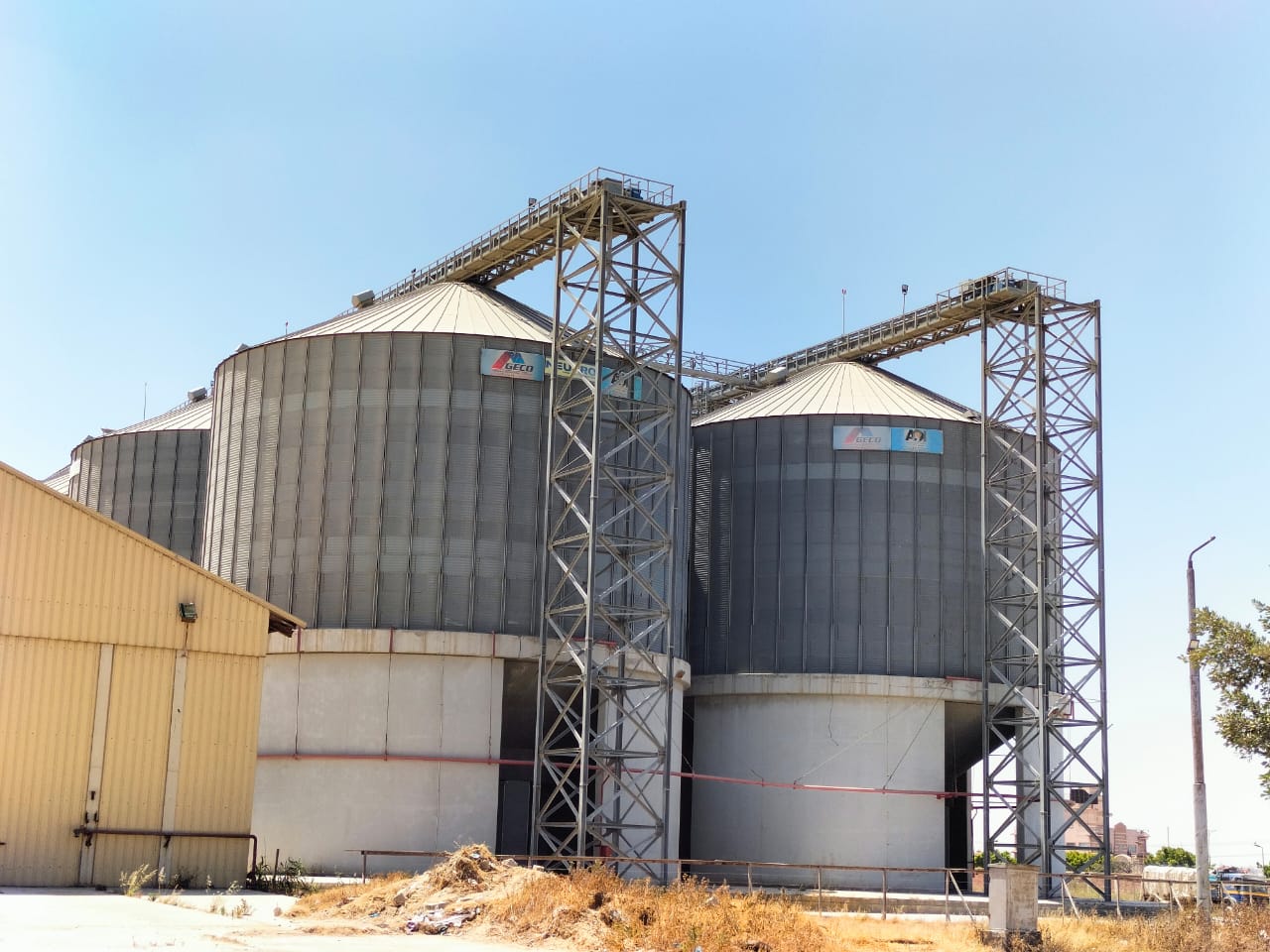 توريد الأقماح للصوامع في الإسكندرية 