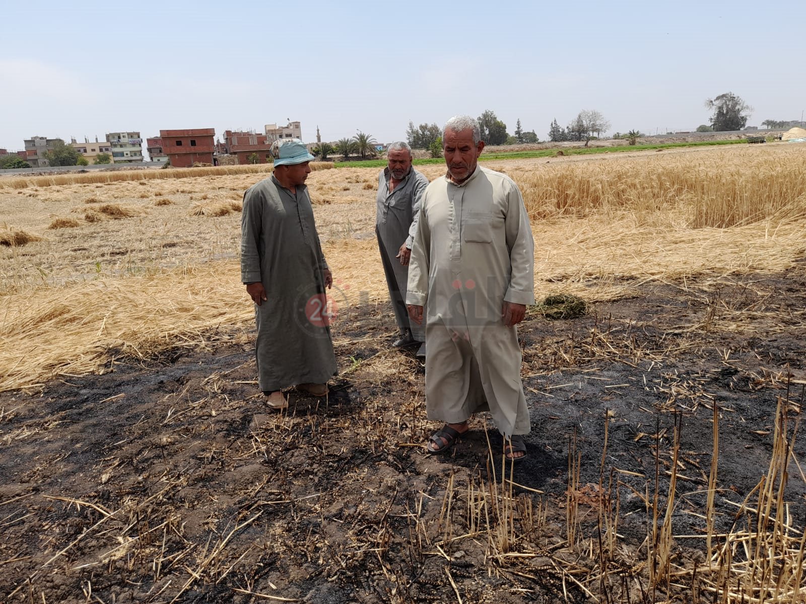 علي داخل أرضه المحروقة