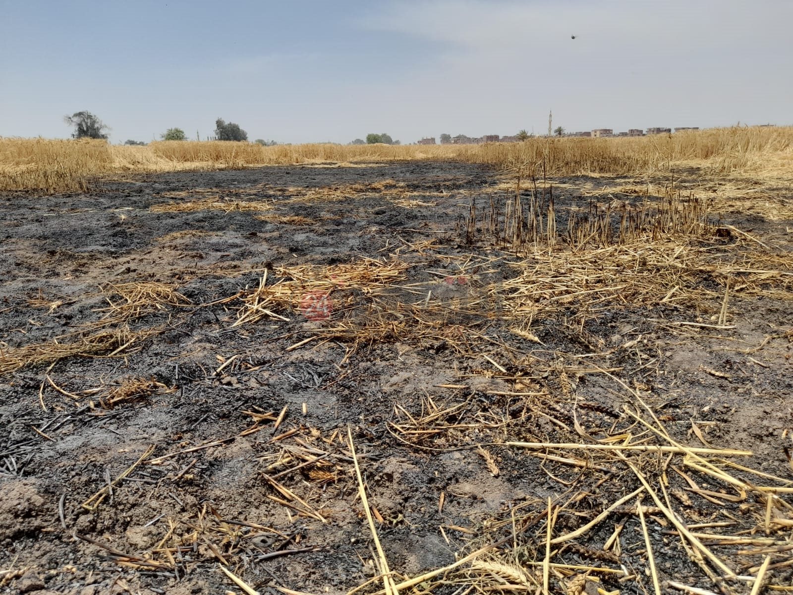 الأرض وآثار الحريق بها