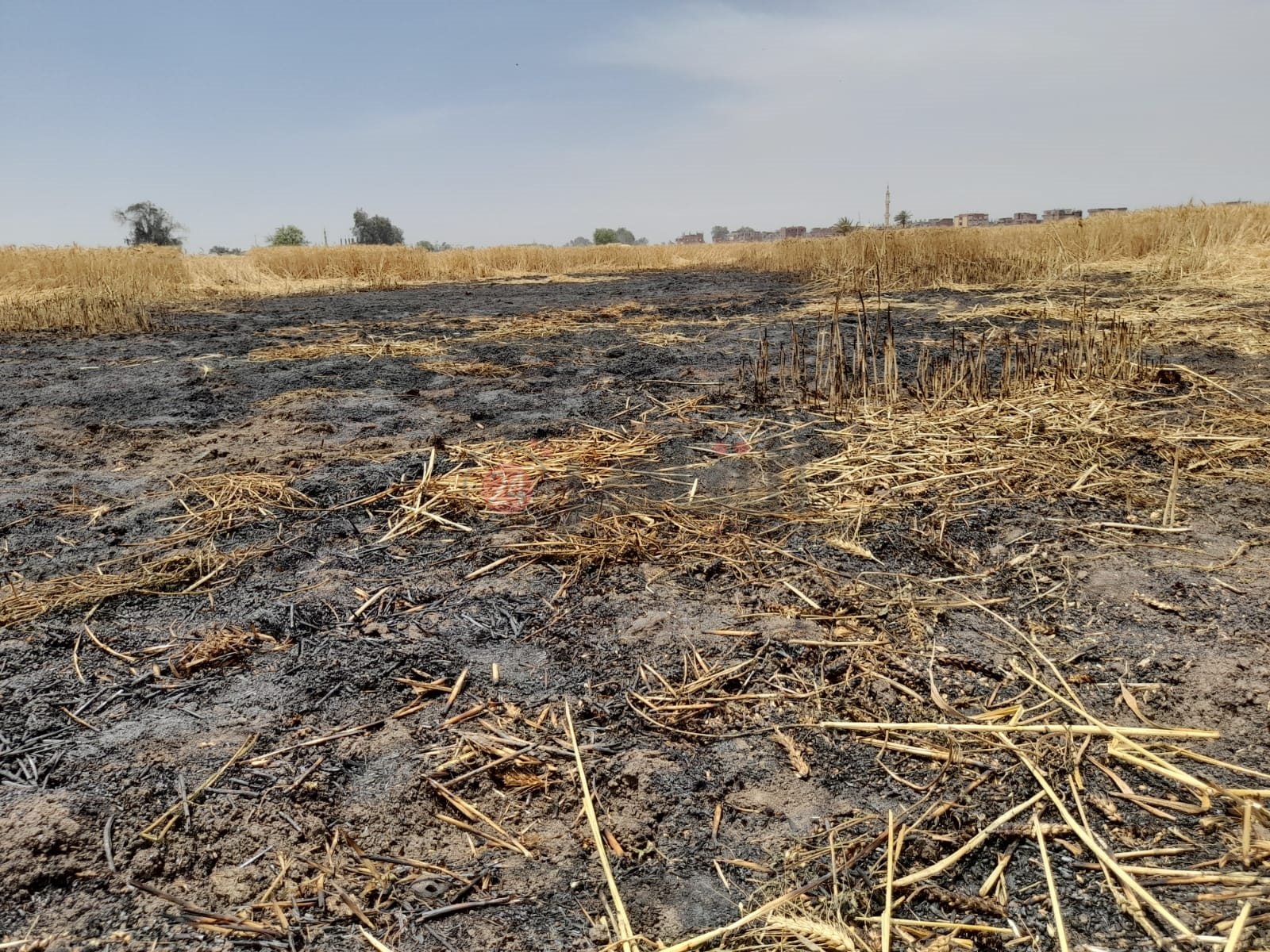 الأرض المحروقة