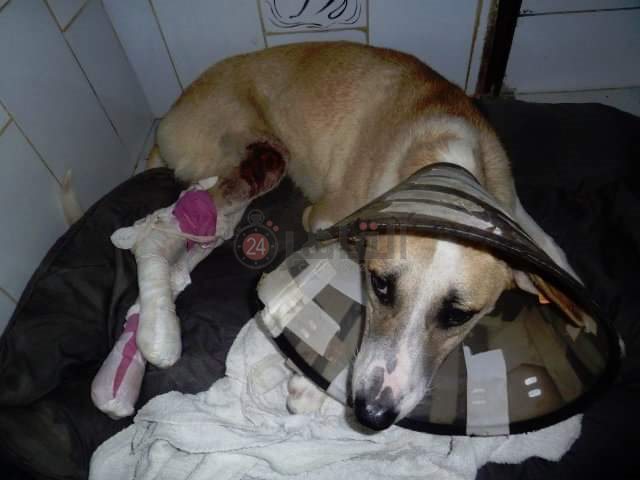 FB_IMG_1653058558612