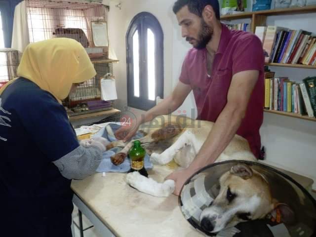 FB_IMG_1653058551854