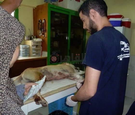 FB_IMG_1653058525735