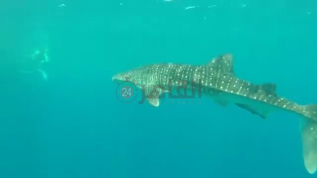 IMG_٢٠٢٢٠٥٢٦_١٦٠٩٠٠٦٨