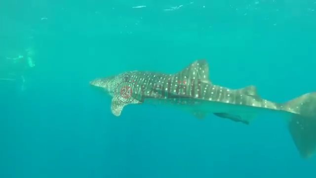 IMG_٢٠٢٢٠٥٢٦_١٦٠٩٠٢٢٠