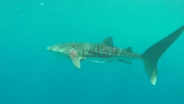 IMG_٢٠٢٢٠٥٢٦_١٦٠٨٥٤٨٥