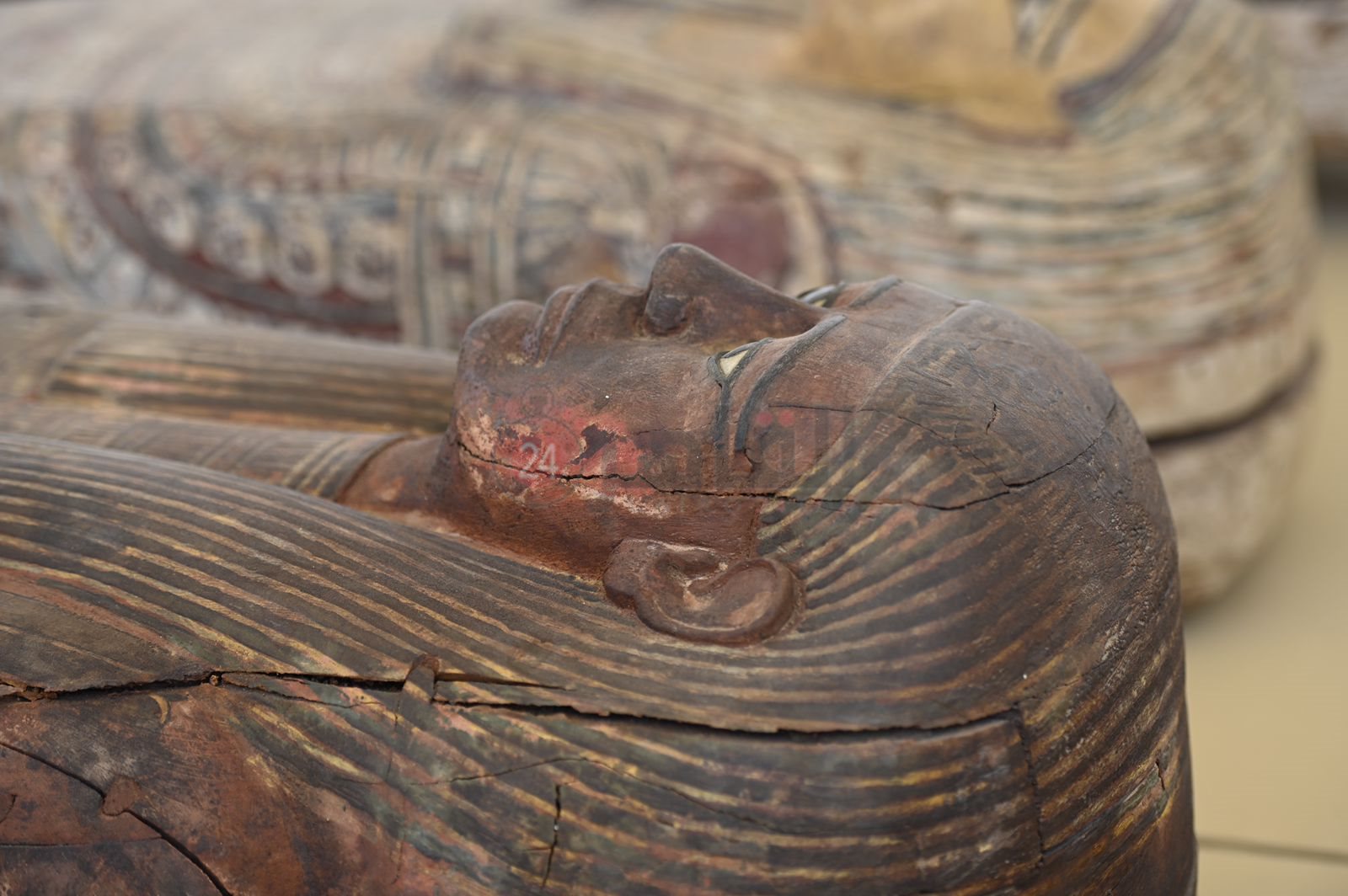 acd44c90-a60d-46e7-9654-4f6ea1761484