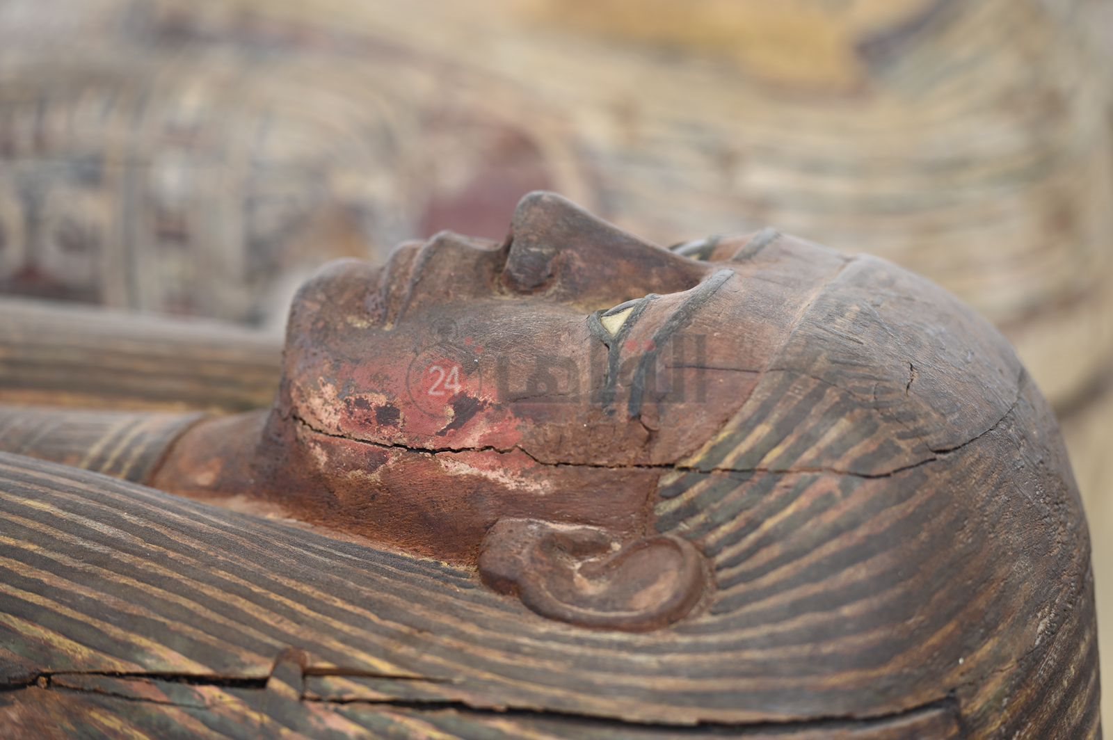 25466c5f-6d26-469d-98fd-de4089b230fe