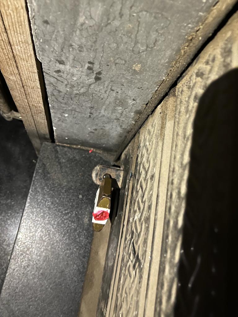 حملات بأحياء الإسكندرية 