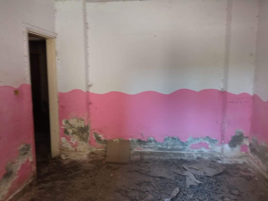 FB_IMG_1654280513995