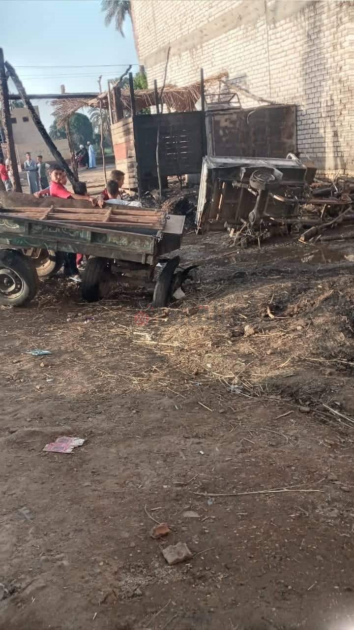 received_335428248737553