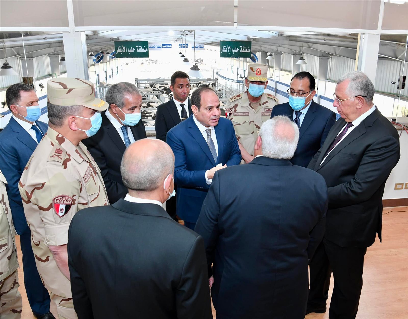 السيسي يفتتح مجمع الإنتاج الحيواني 