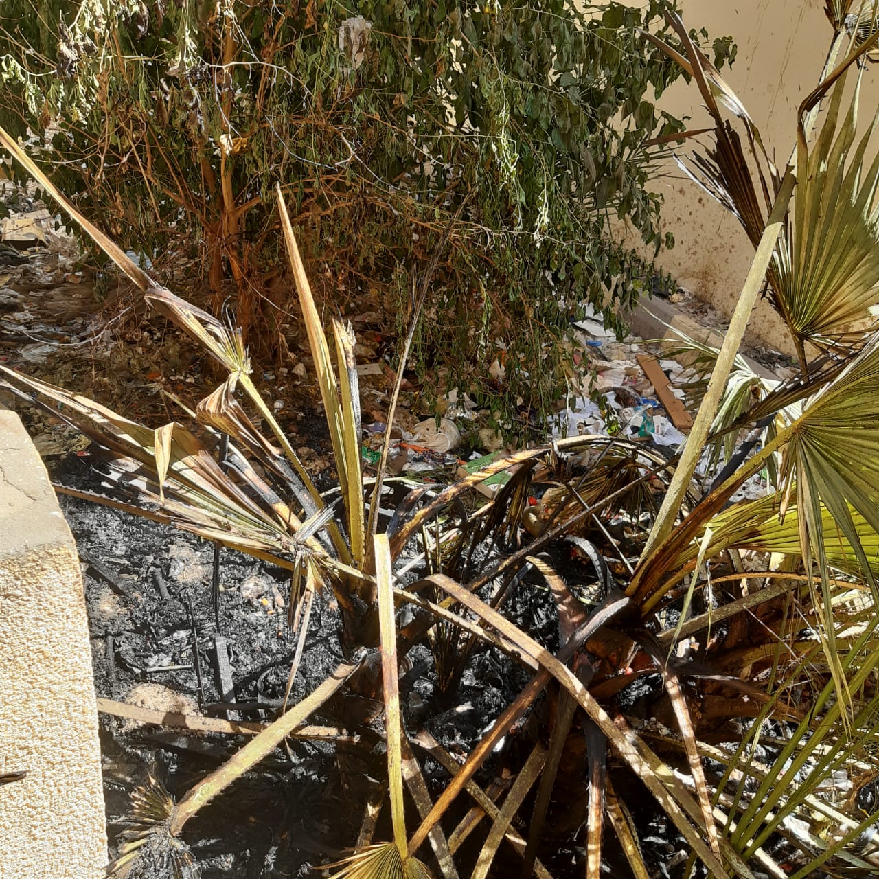 نشوب حريق بمدرسة محمد فريد بأسيوط