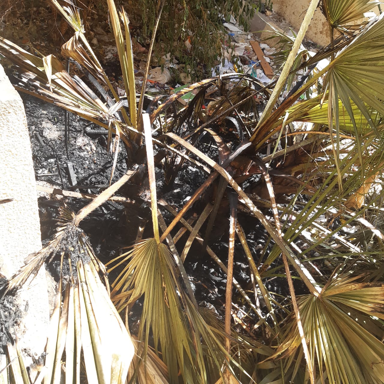 نشوب حريق بمدرسة محمد فريد بأسيوط