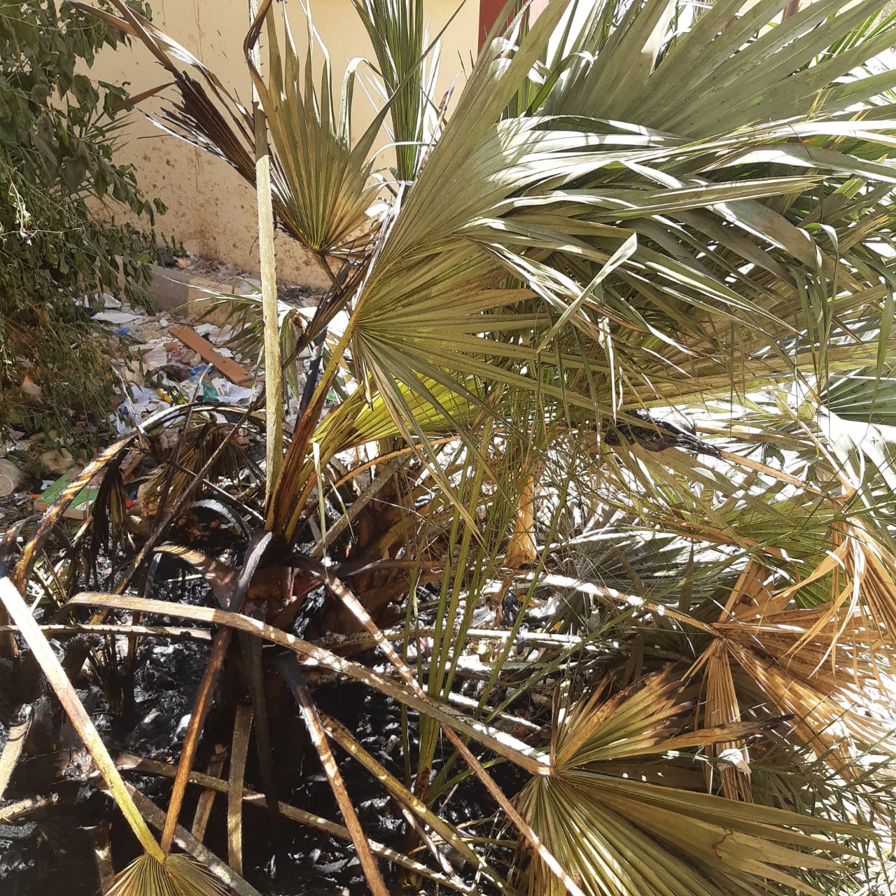 نشوب حريق بمدرسة محمد فريد بأسيوط