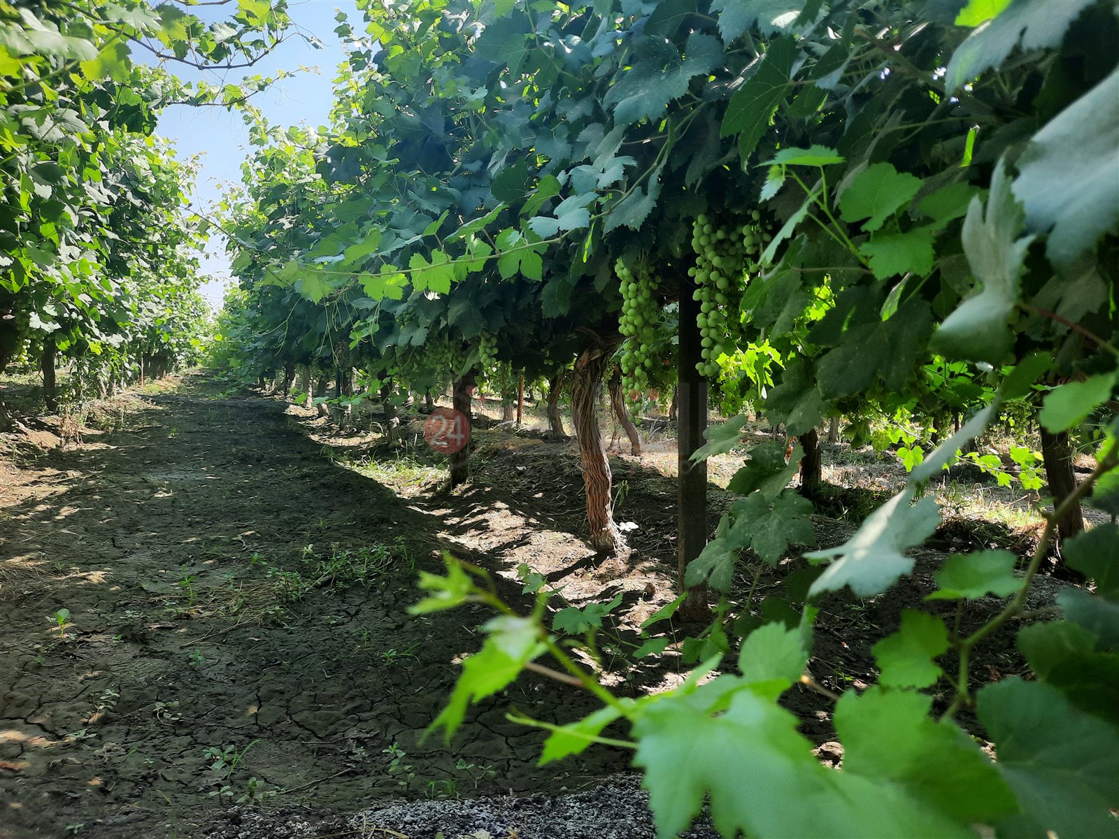 ٢٠٢٢٠٦١٥_١٤٣٨١٩