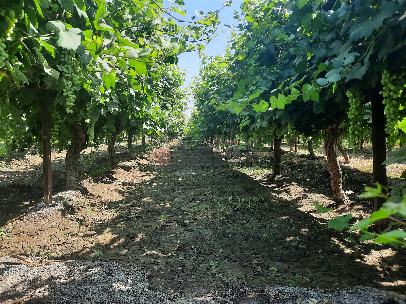 ٢٠٢٢٠٦١٥_١٤٣٨١٧