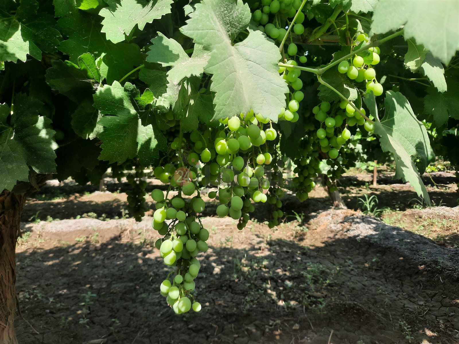 ٢٠٢٢٠٦١٥_١٤٣٨٠٦