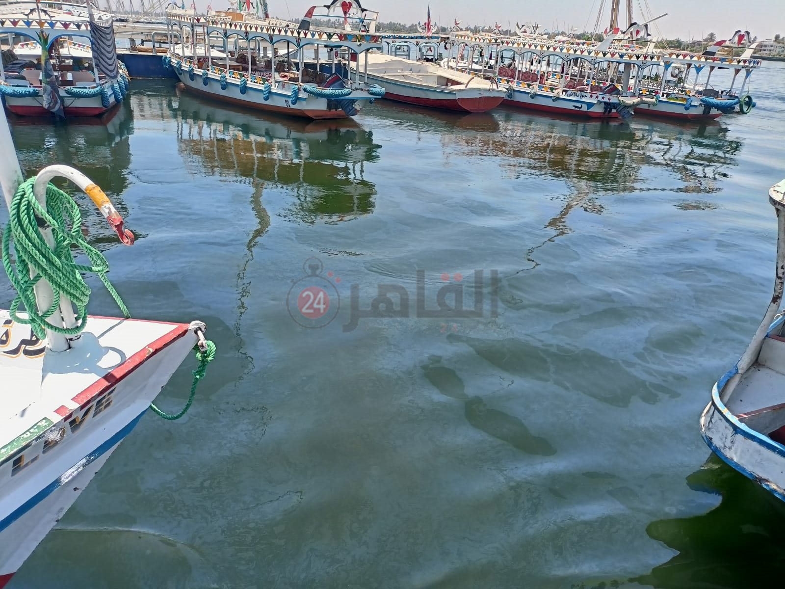بقعة الزيت بنيل الأقصر 