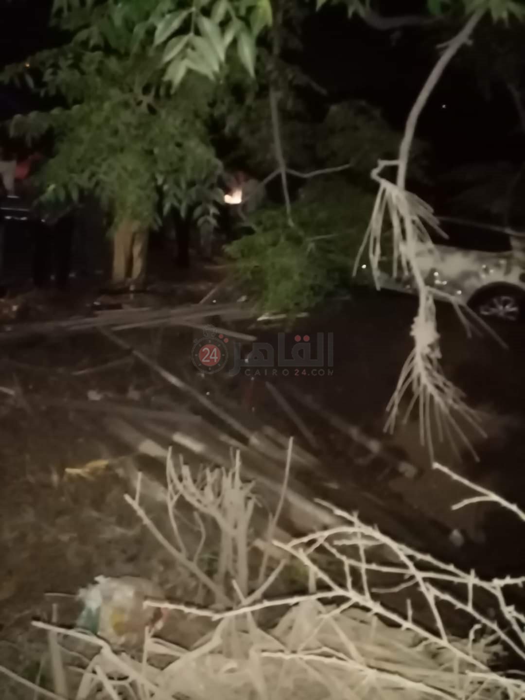 FB_IMG_1656742268071