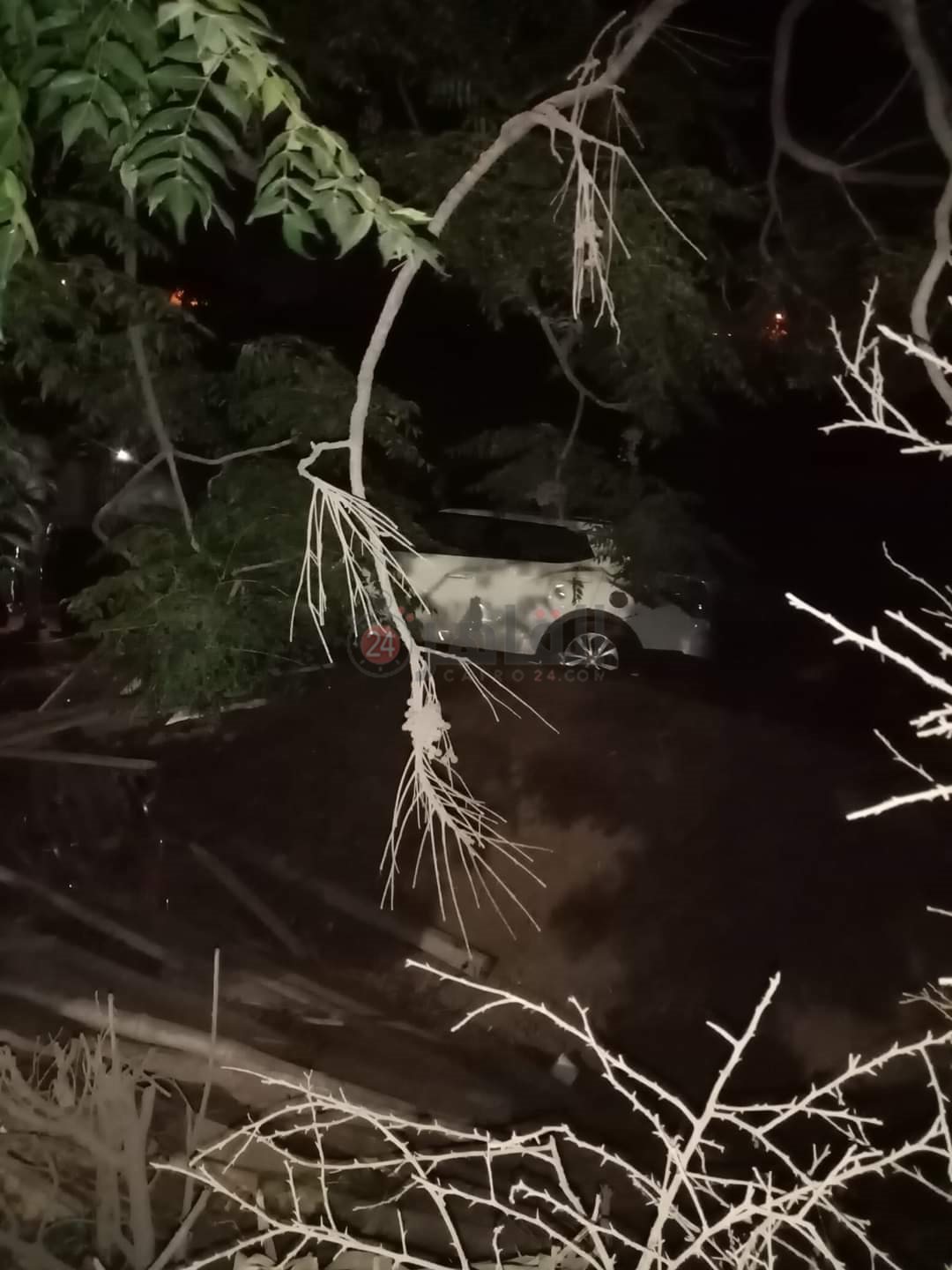 FB_IMG_1656742261455