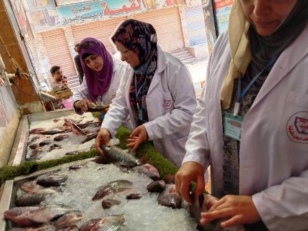 حملات على أسواق السمك بالشرقية