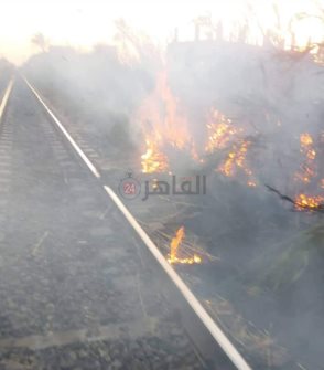 جانب من الواقعة 