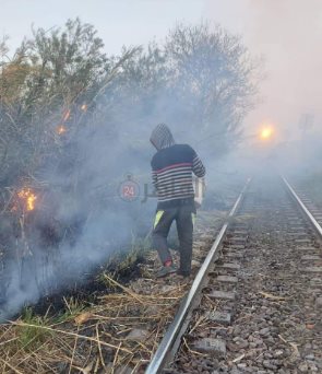 جانب من الواقعة 