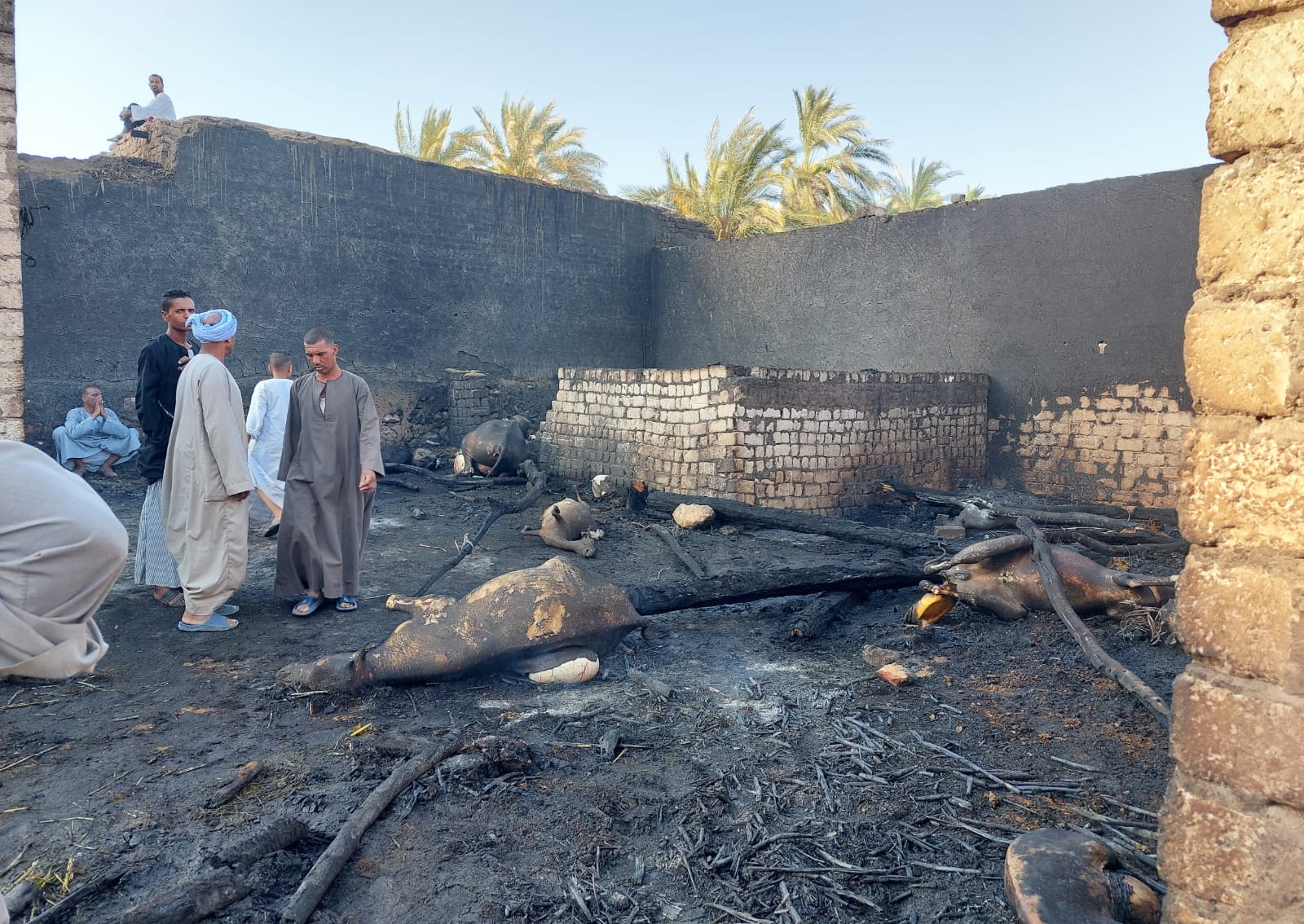 حريق قرية الدير بالأقصر 