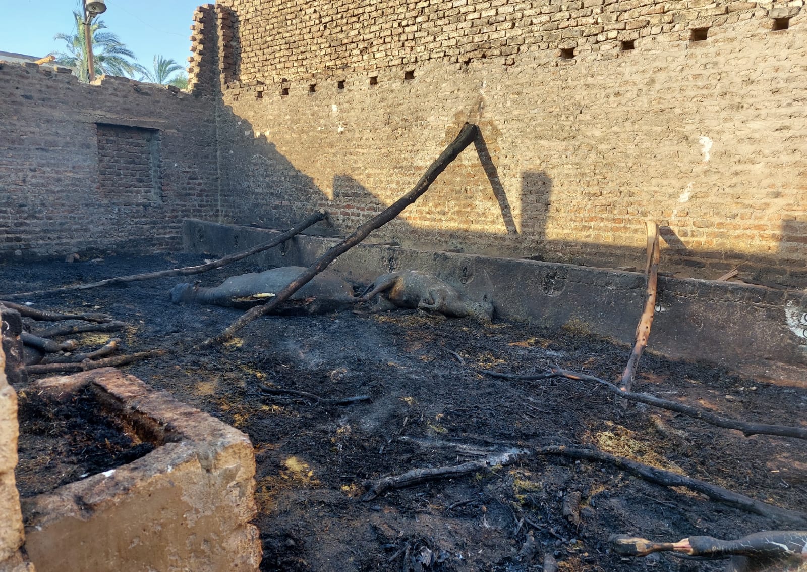 حريق قرية الدير بالأقصر 