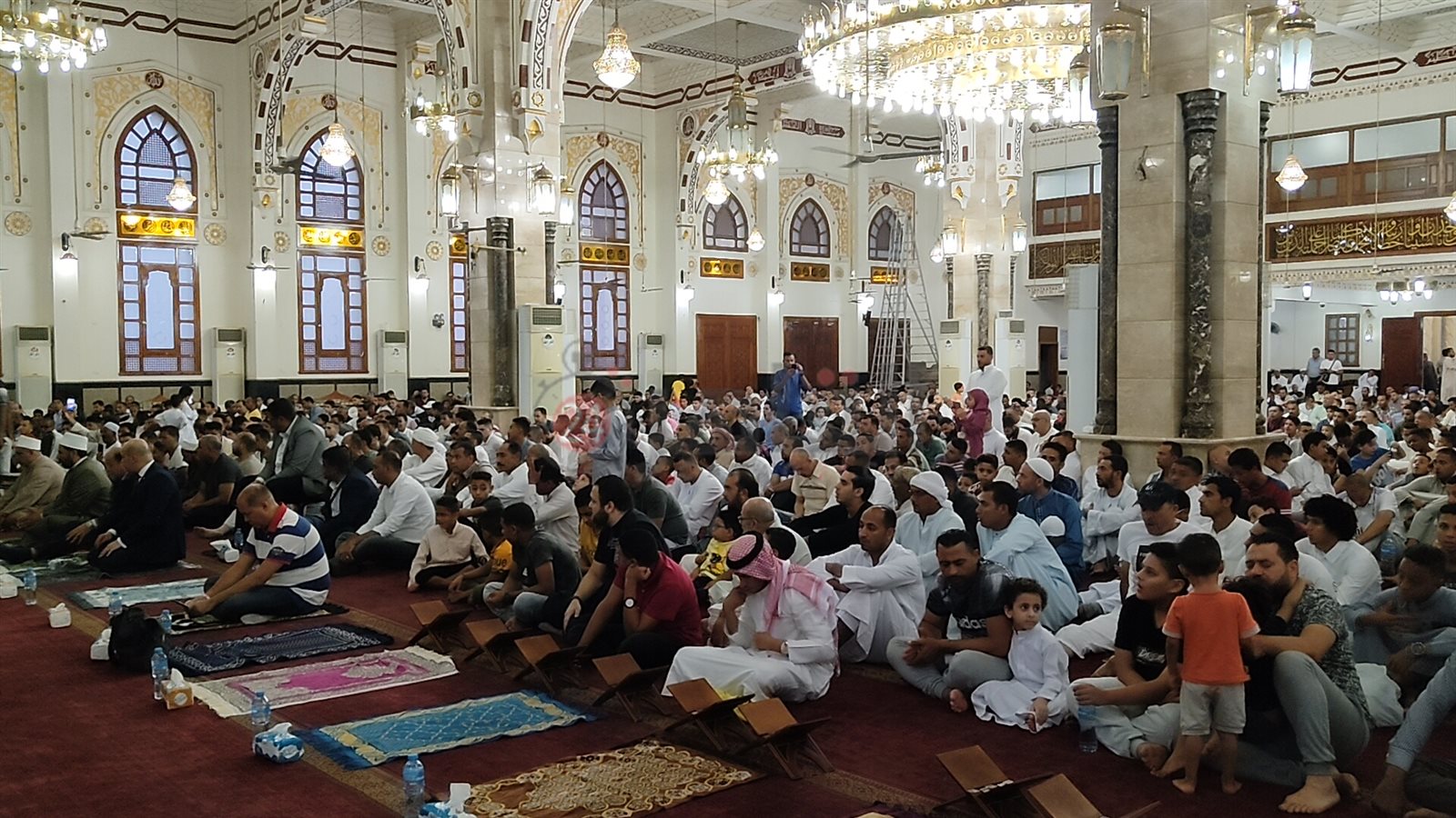 IMG20220709045208_01