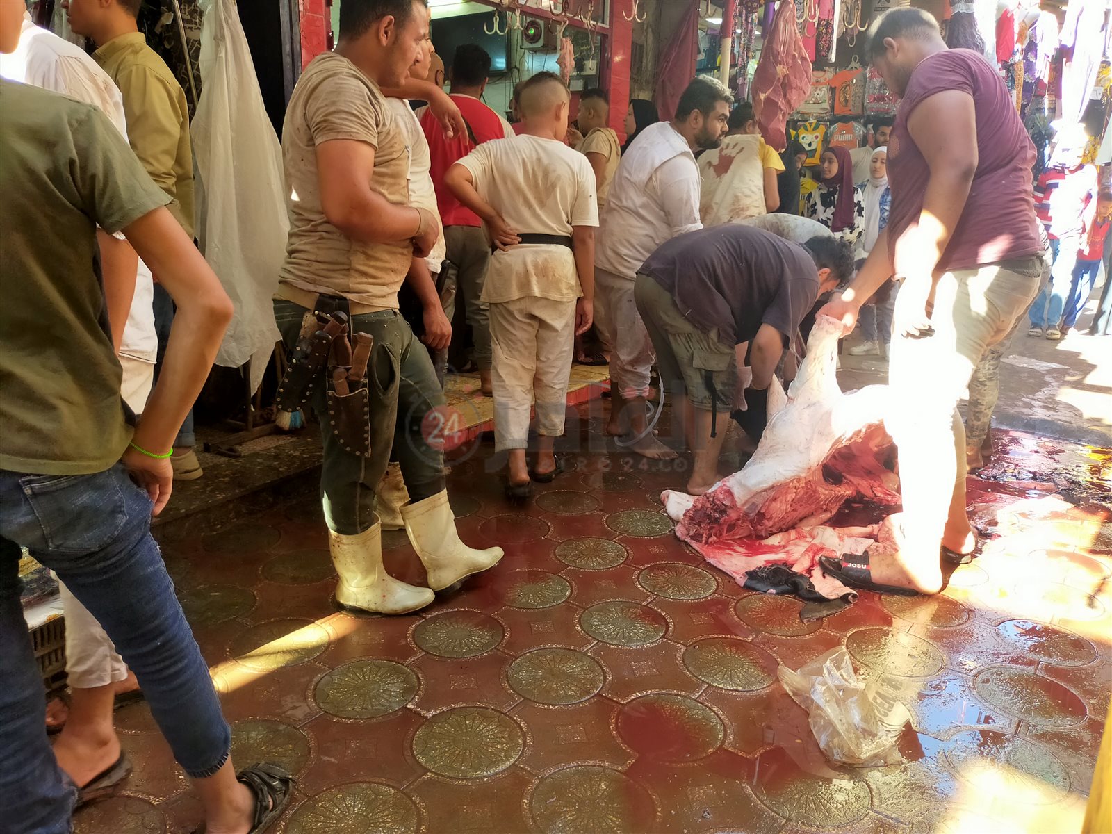 مظاهر احتفال أهالي الفيوم بـ عيد الأضحى المُبارك 