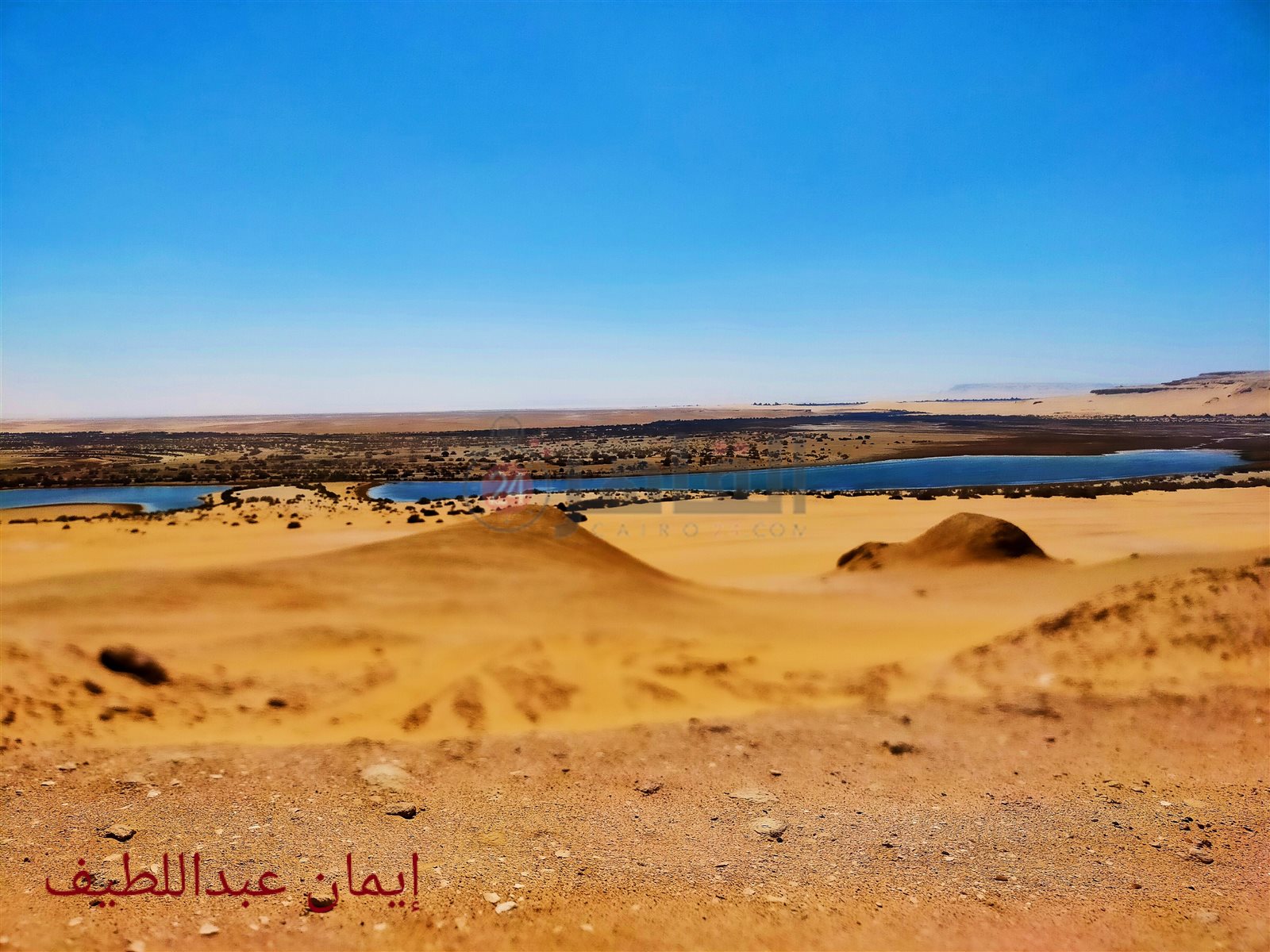 البحيرة المسحورة بالفيوم.. تصوير: إيمان عبد اللطيف 