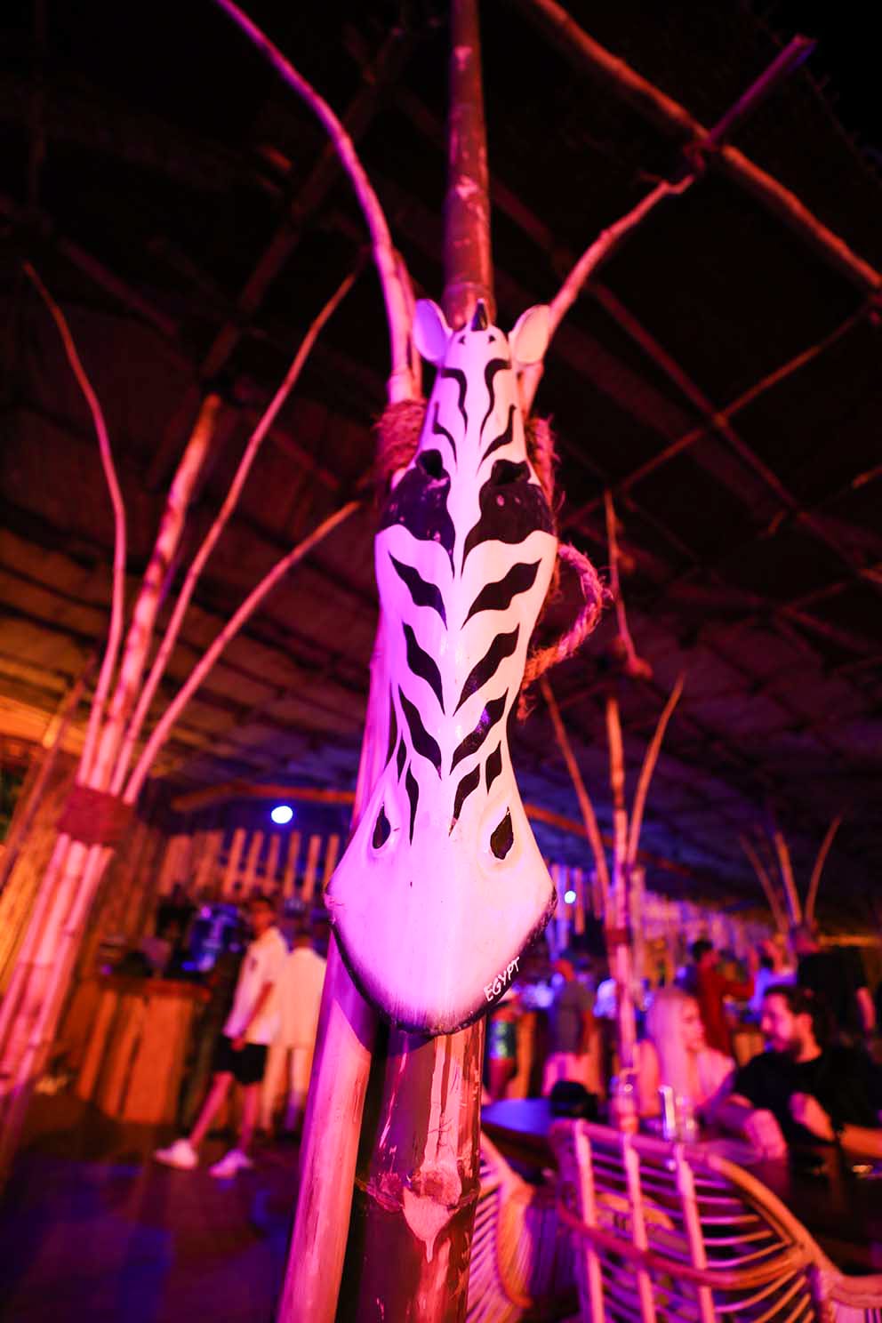 سفراء اوروبا ورعاياهم في حفل العيد بpalapa العلمين الجديدة (13)