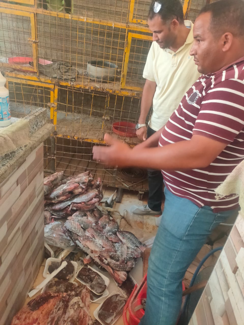 حملات على المنشآت الغذائية خلال العيد بالشرقية