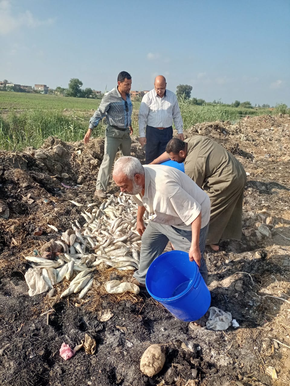 حملات تفتيشية على الأسواق بالشرقية 04