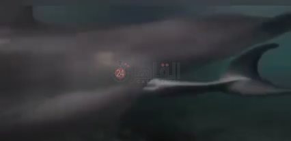 IMG_٢٠٢٢٠٧٢٠_٠٩٢٧١٩٨٤