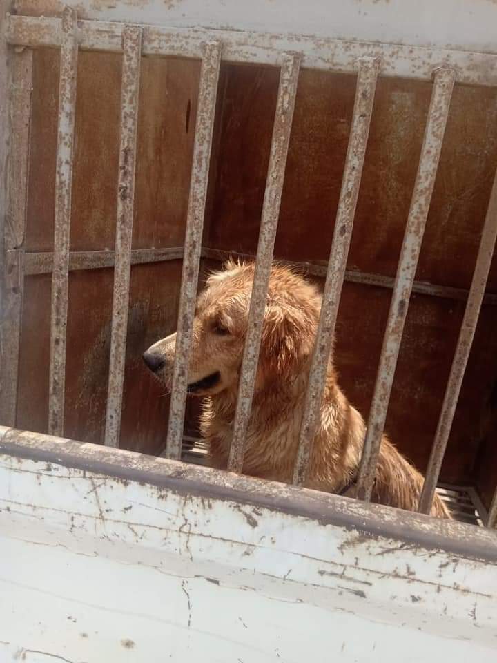 FB_IMG_1658349234465