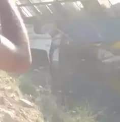 FB_IMG_1658604115329