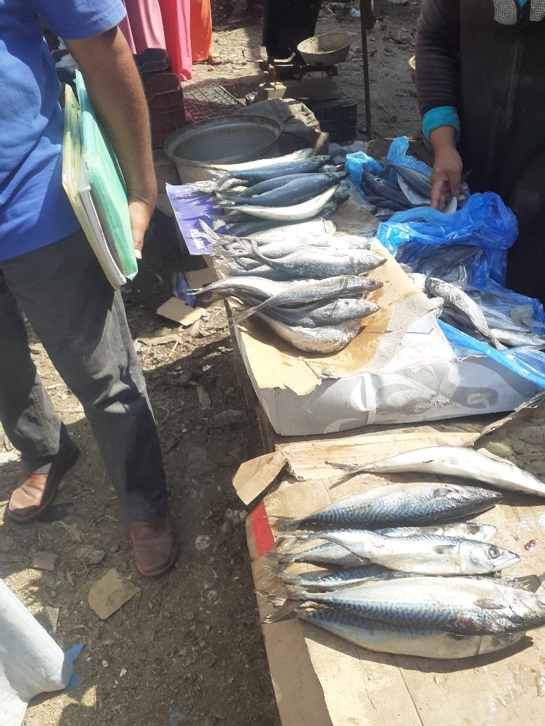 حملات على المنشآت الغذائية بالشرقية 03