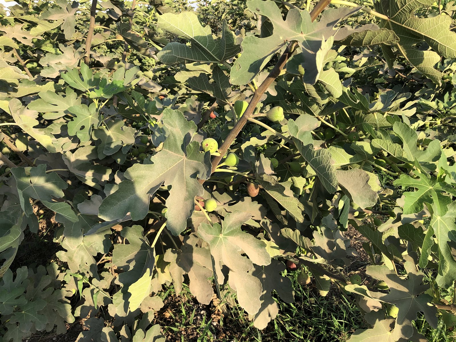 2411F986-0589-4ADC-8793-2C5A6C8D2B10