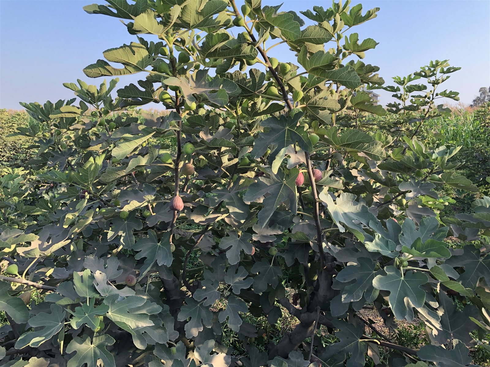 C8972BF5-AE66-40B0-9865-1B0FFD0F7346