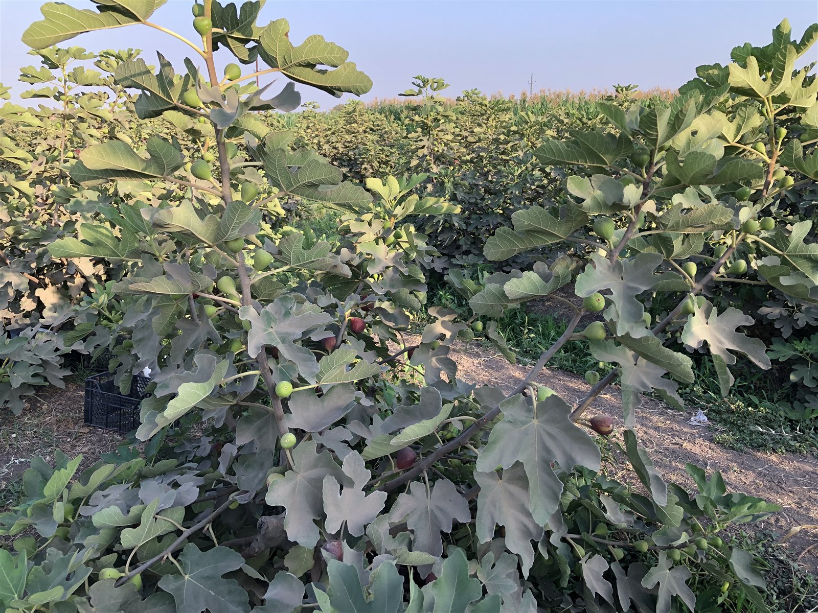 51941254-0407-460D-90F2-E8C978365634