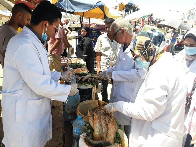 حملة على أسواق الأسماك بالشرقية